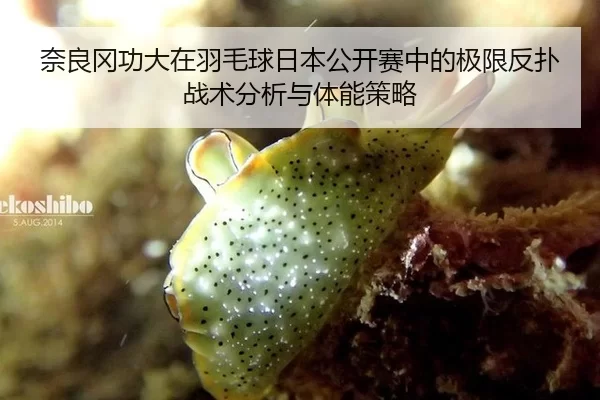奈良冈功大在羽毛球日本公开赛中的极限反扑战术分析与体能策略
